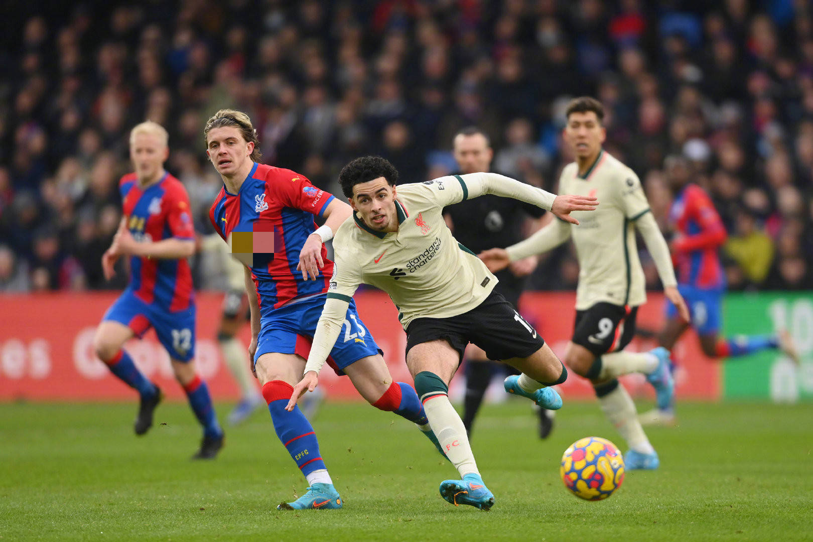 本場對陣 本場對陣